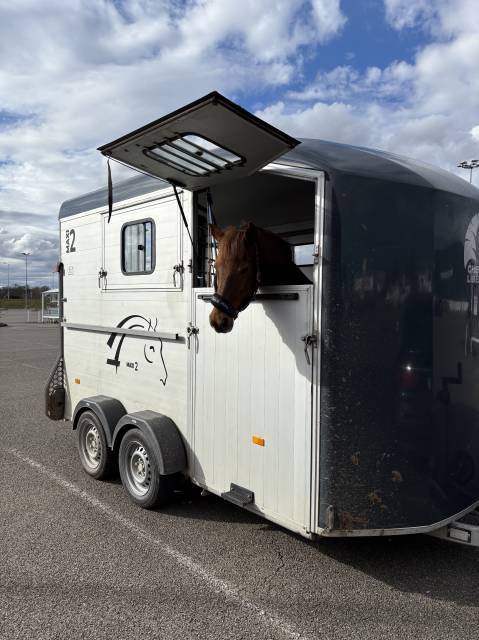 Van cheval liberté maxi 2