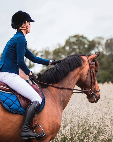 Directrice d'écurie en chine, cavalière professionnelle