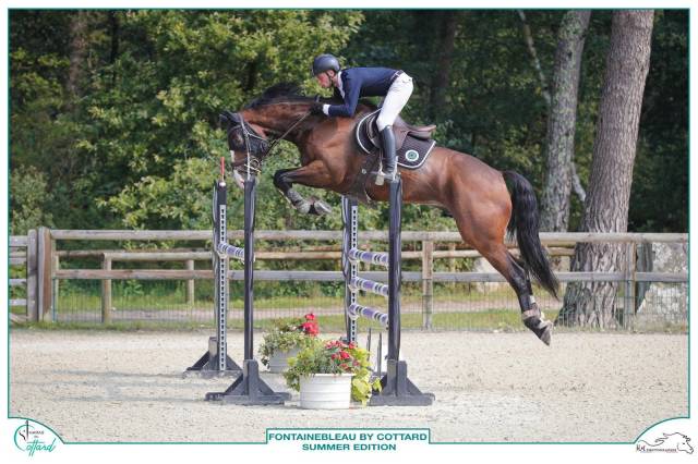 Hongre sf épreuves 135/140 