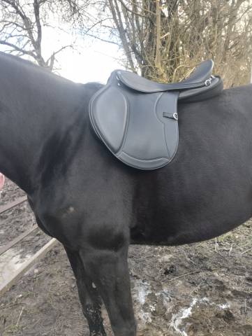 Selle randonnée rexine evol norton 