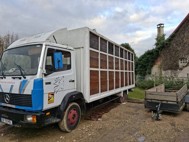 Camion chevaux 6 places