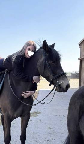 Nativo 6 ans a vendre