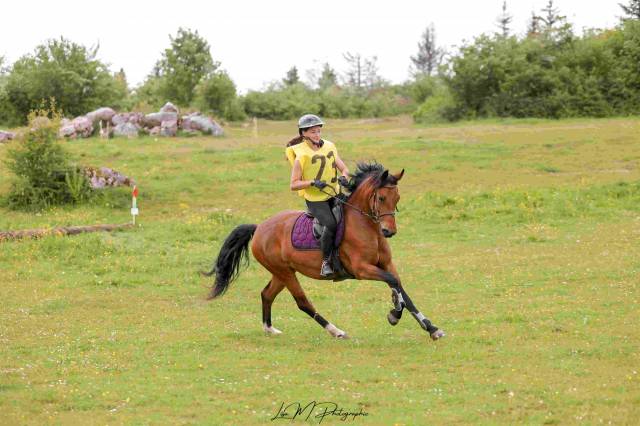 Ponette de sport à vendre