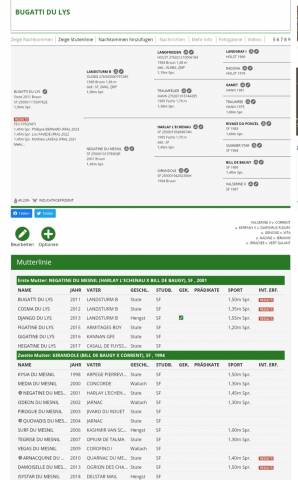 Poulinière à vendre