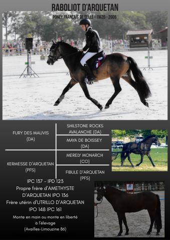 Raboliot d'arquetan : raboliot d'arquetan - approuvé pfs