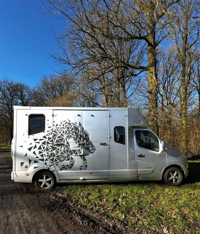 Camion chevaux à vendre – cabine 5 places 