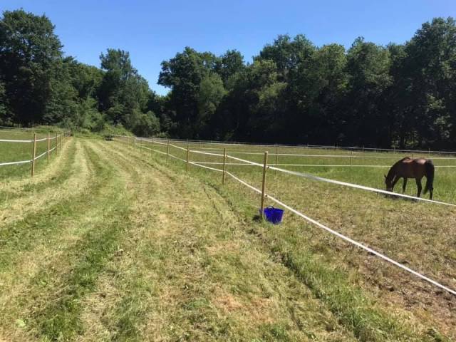 à 30 minutes de bergerac – 3 logements sur 4 hect