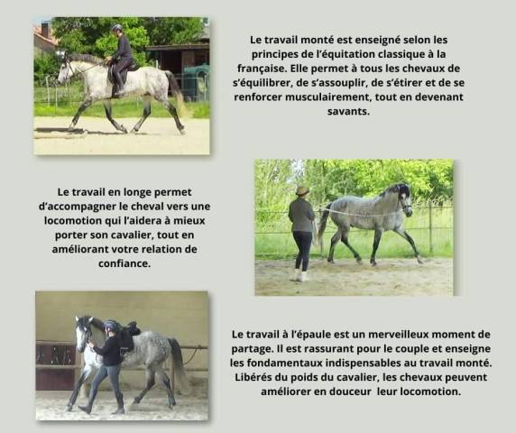 équitation baliros, l'équitation à domicile.