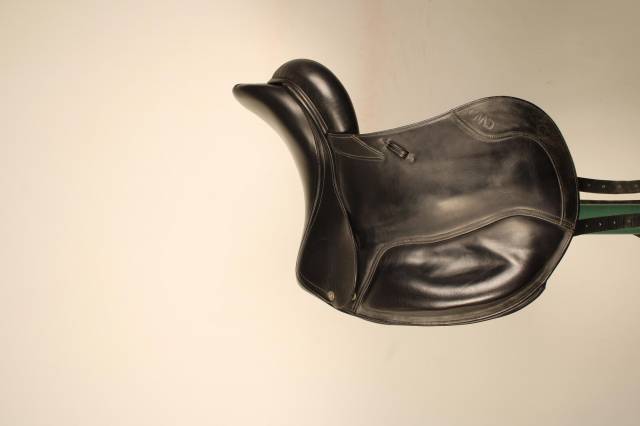 Cwd selle dressage 17