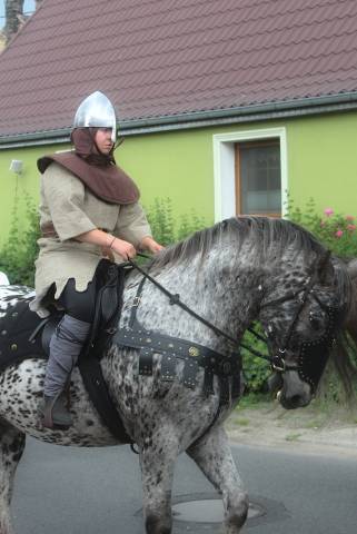 Bombproof leopard barock gelding !