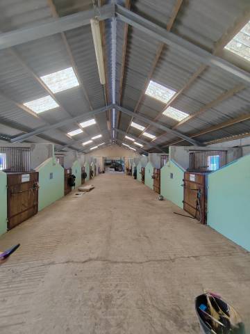 Pension chevaux -le bien être avant tout 