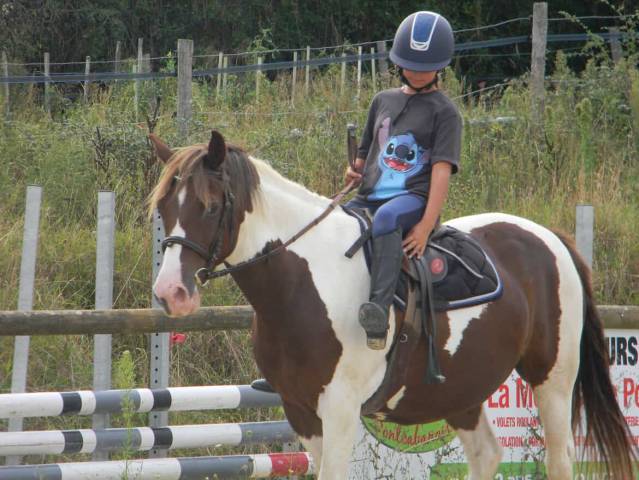 Ponette d’1m39 a vendre 2500€ négociable 