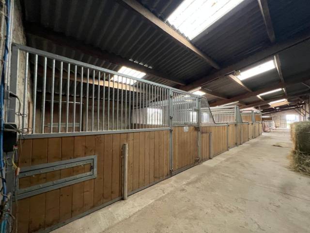 Ferme equestre