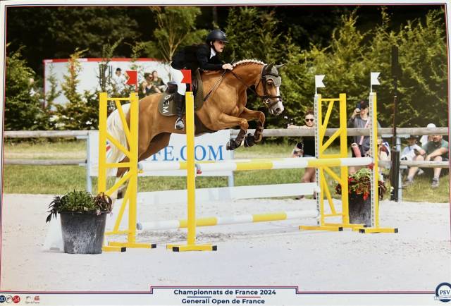 Jolie ponette d de sport à vendre