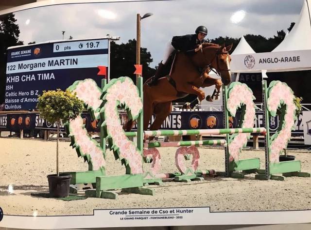 Cheval loisirs sportif