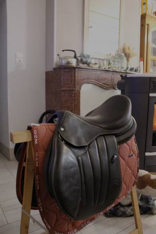 Selle forestier séoul 