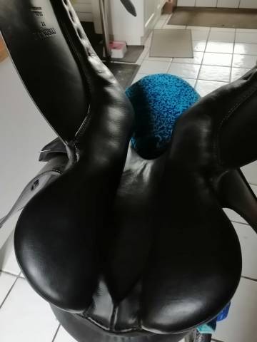 Selle dressage passier 17