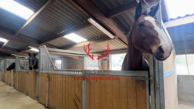 Tarn-et-garonne propriété équestre de 3,2 hectares (82)