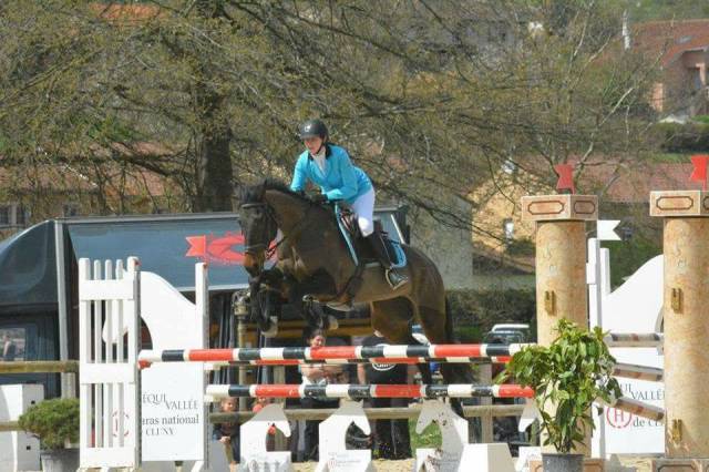 Poulinière sf à terme pour mai 