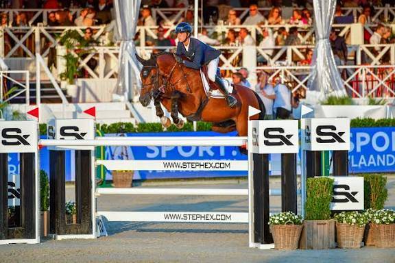 Jument idéale pour l’élevage 