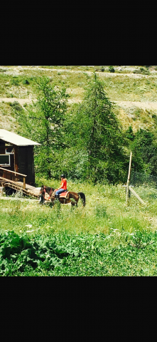 Demande de poste : cavalière soigneuse confirmée en ext