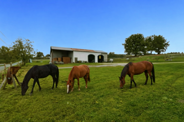Belle propriété équestre sur plus de 7 hectares