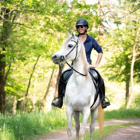 Jument pur sang arabe 10 ans - loisir