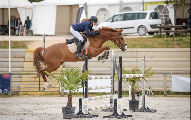 à vendre – cheval sf 10 ans 