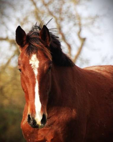  3 ans sport top papiers