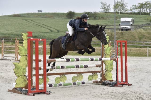 Poney à louer ou confier 