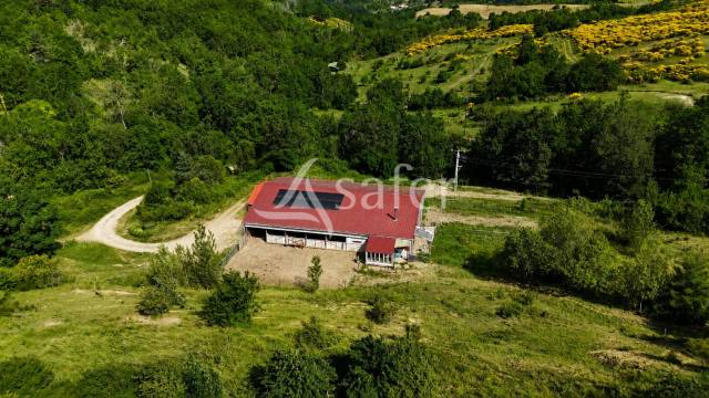 Bâtiment d'élevage avec habitation autonome sur 1,3 ha proch