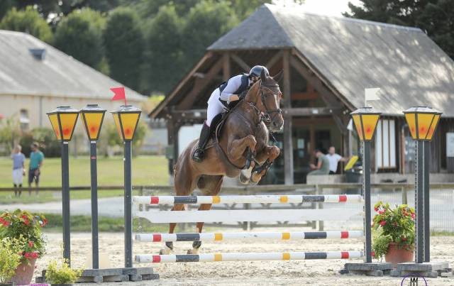 Jumment innaretable à vendre 