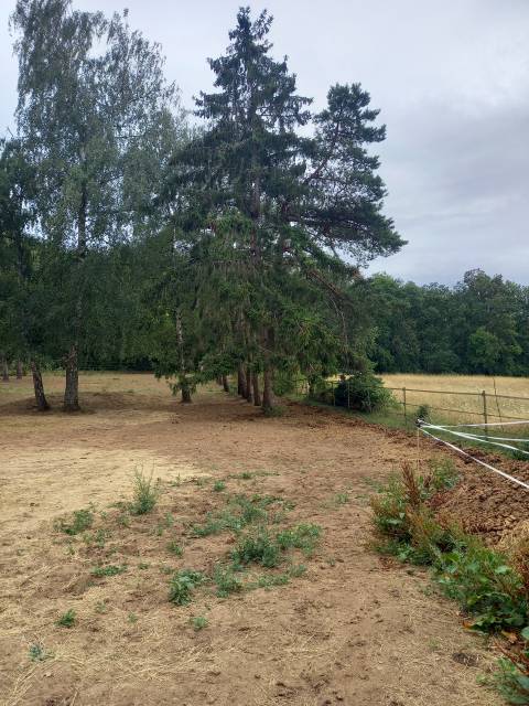 Location pature pour 2 chevaux - essonne 91