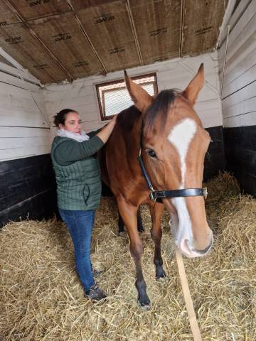 Masseuse équin & canin 