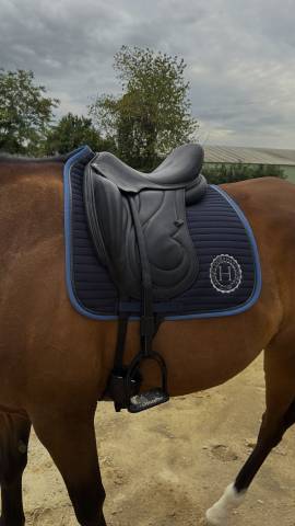 Selle de dressage antares 