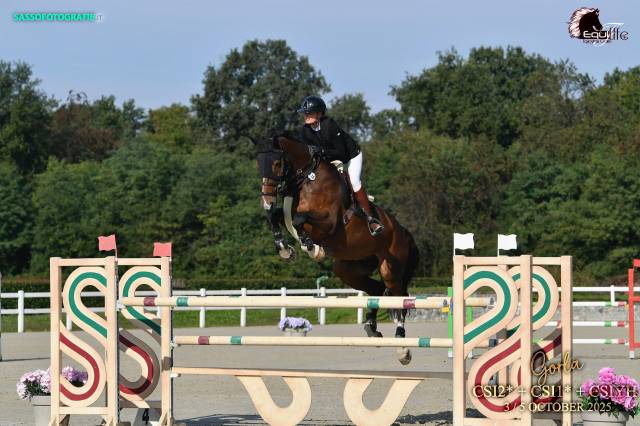 Hongre gros moyen 11 ans