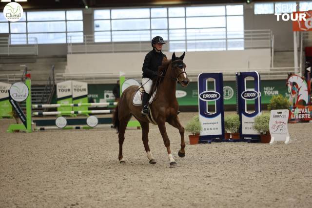 Jument de 5ans à vendre 