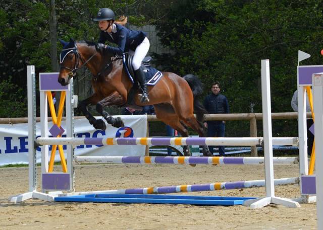 A louer poney d  de sport 16 ans maitre ecole 