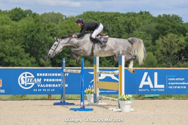 Jument d’avenir 135/140 – 8 ans – papier iso confirmé