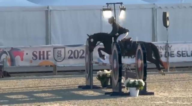 Kalindja de vendie ponette d