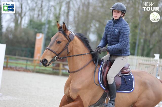 Hongre 4ans à vendre