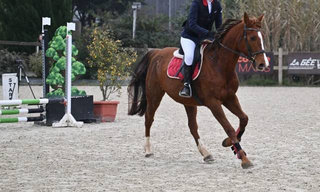 Super jument tf 6 ans