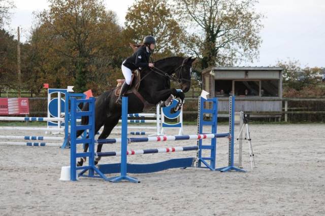 Propose location pour élevage ou loisir 