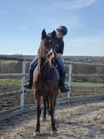 Jument maitre d'école loisirs