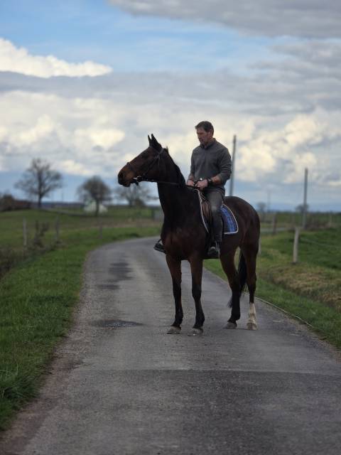 Jument maitre d'école loisirs