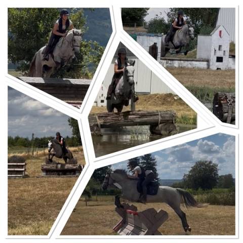 Poney de sport connemara 2022 taille d