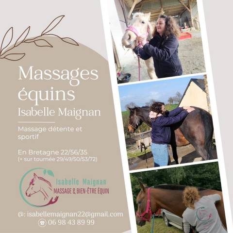 Masseuse équin & nutritionniste équin