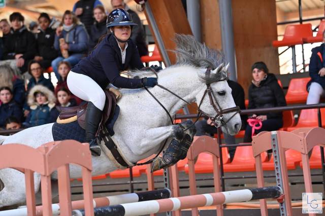 étalon c de dexter leam pondi pour faire as1 