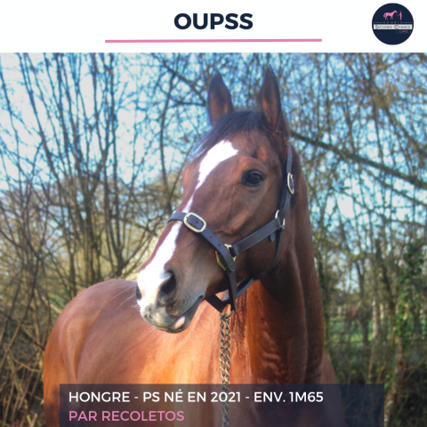 Oupss - ps - 5 ans