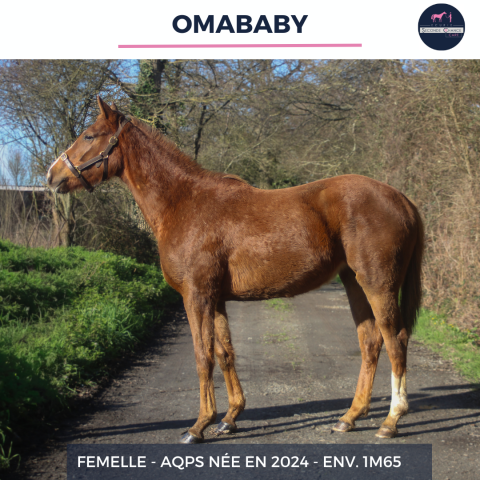 Omababy - aqps - 2 ans